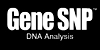gene SNP